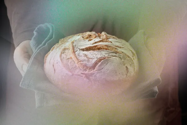 Episode 004: Real-Bread Revolution: The Healing Power of Homemade Bread