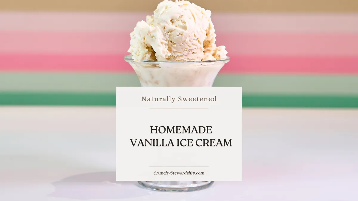 Naturally Sweetened Homemade Vanilla Ice Cream