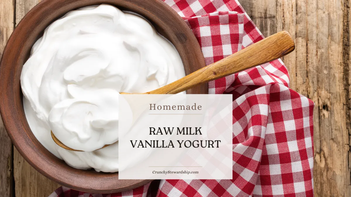 Simple Raw Milk Vanilla Yogurt