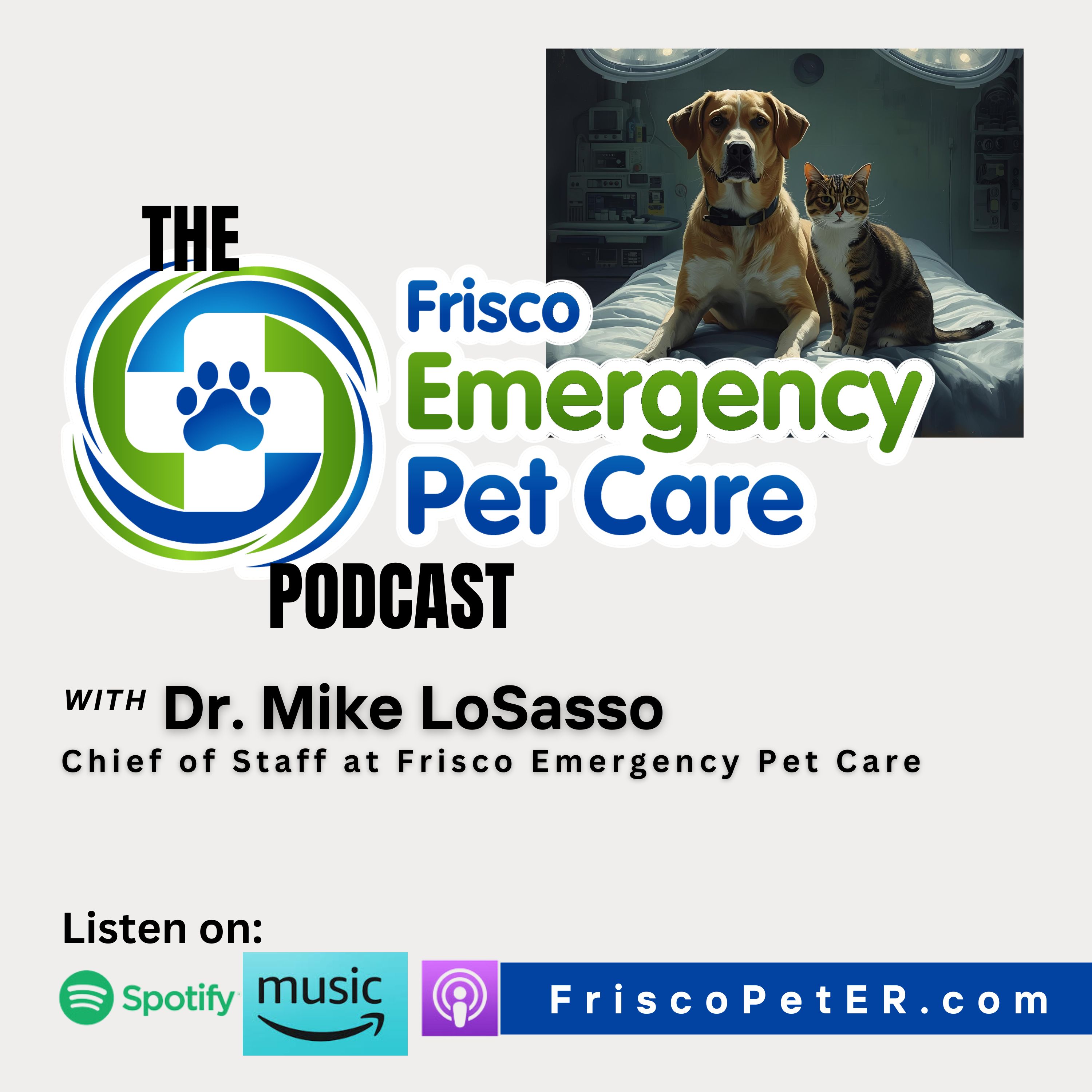 Frisco Emergency Pet Care