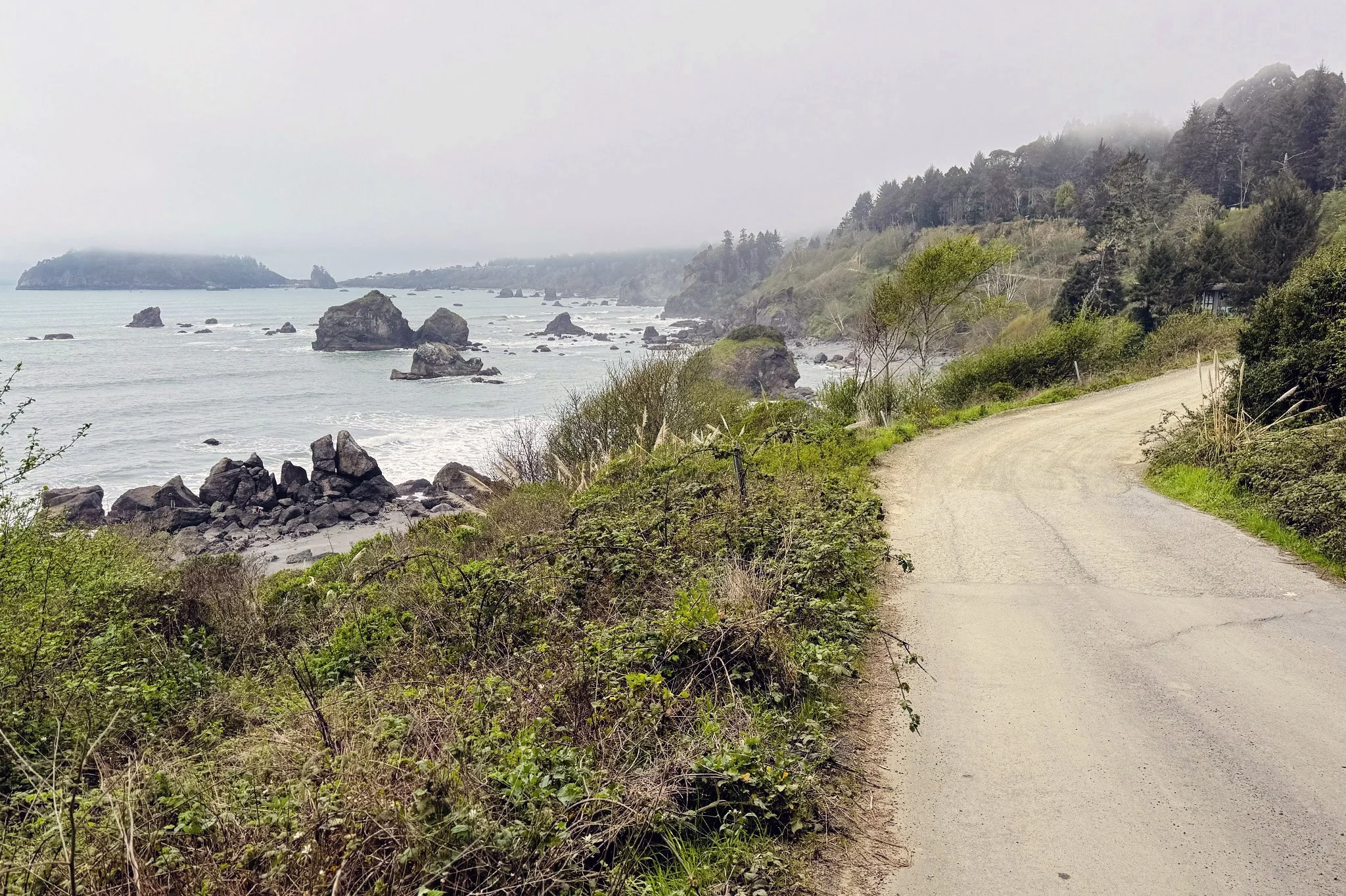 Cruise Control: Top 5 Scenic Drives You Can Take from McKinleyville, CA