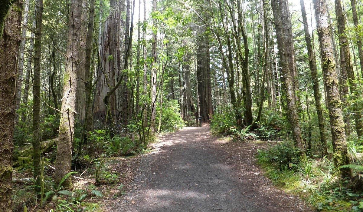 Cruisin’ the Coast: Top Attractions in Eureka to Drive to This Season