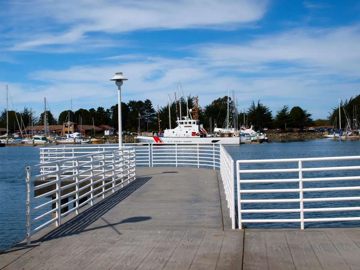 Dive Into the Heart of Eureka at the Adorni Center: Where Community and Fun Collide!