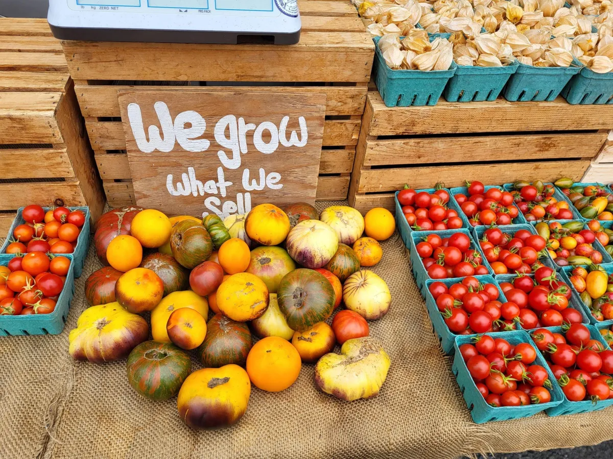 Eureka Farmers Market: Fresh Finds and Community Vibes in the Heart of Old Town