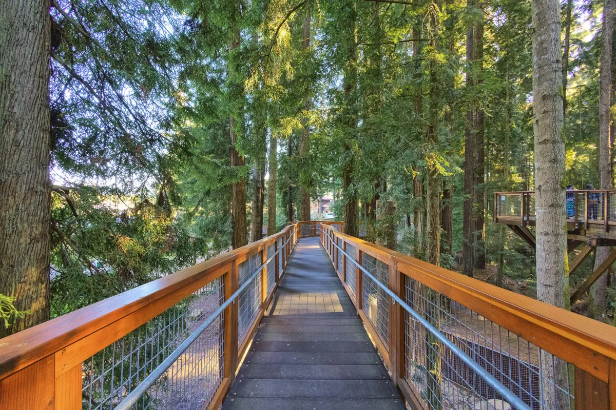 Wild Times & Redwoods: Why Sequoia Park Zoo in Eureka, CA Is a Must-Visit Adventure