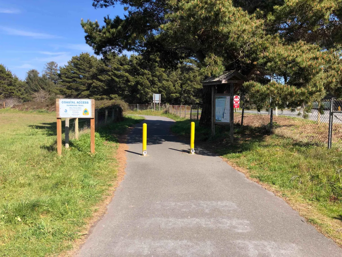 Cruisin’ the Coastline: Hammond Trail Is McKinleyville’s Scenic Secret You’ve Gotta See