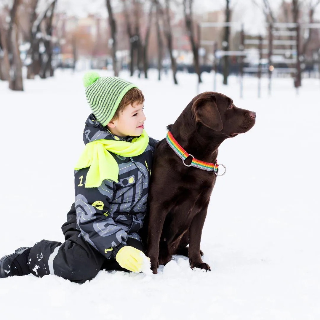 boy and dog in the snow