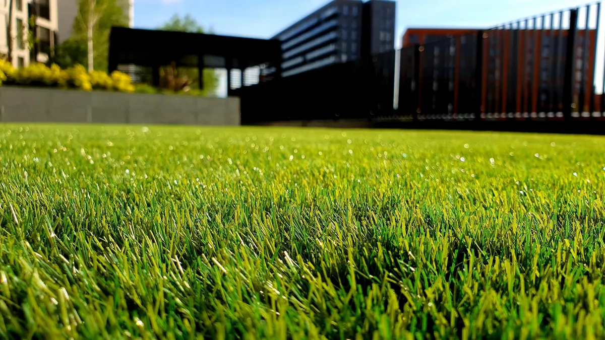 From Vision to Reality: The Power of Professional Landscaping Services
