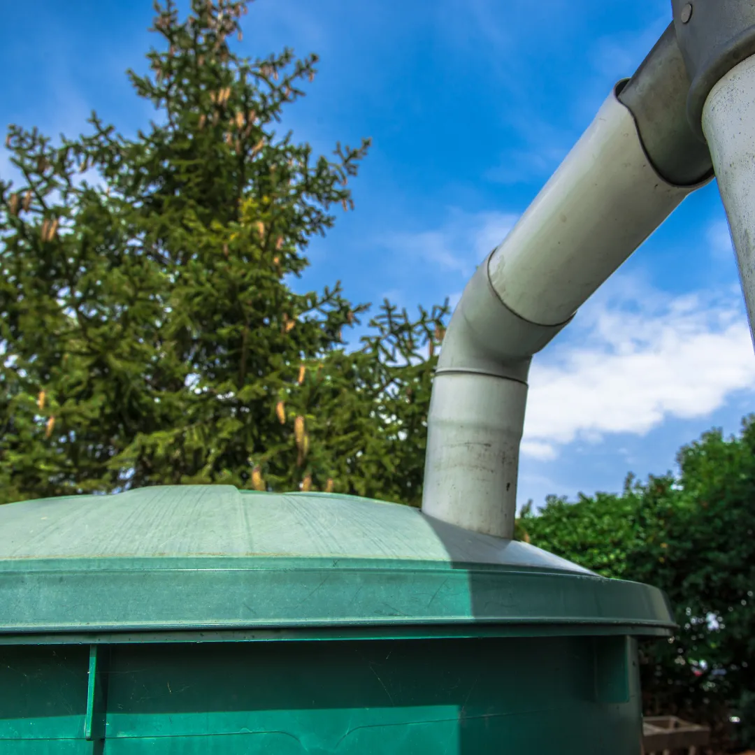 Harvest the Rain: Sustainable Living with Rainwater Systems!