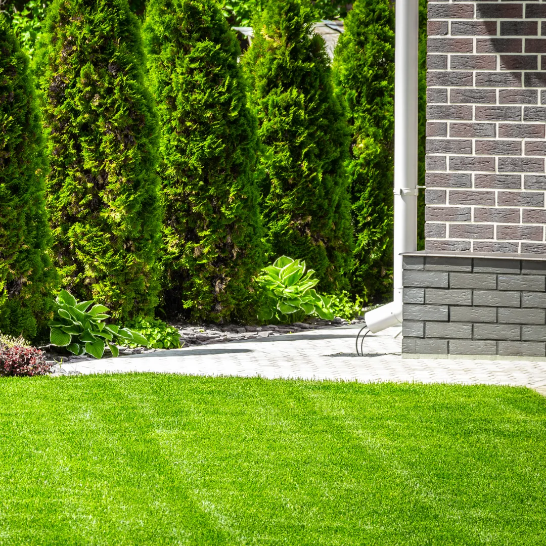 Save Time & Money: Discover the Best Landscape Maintenance Deals