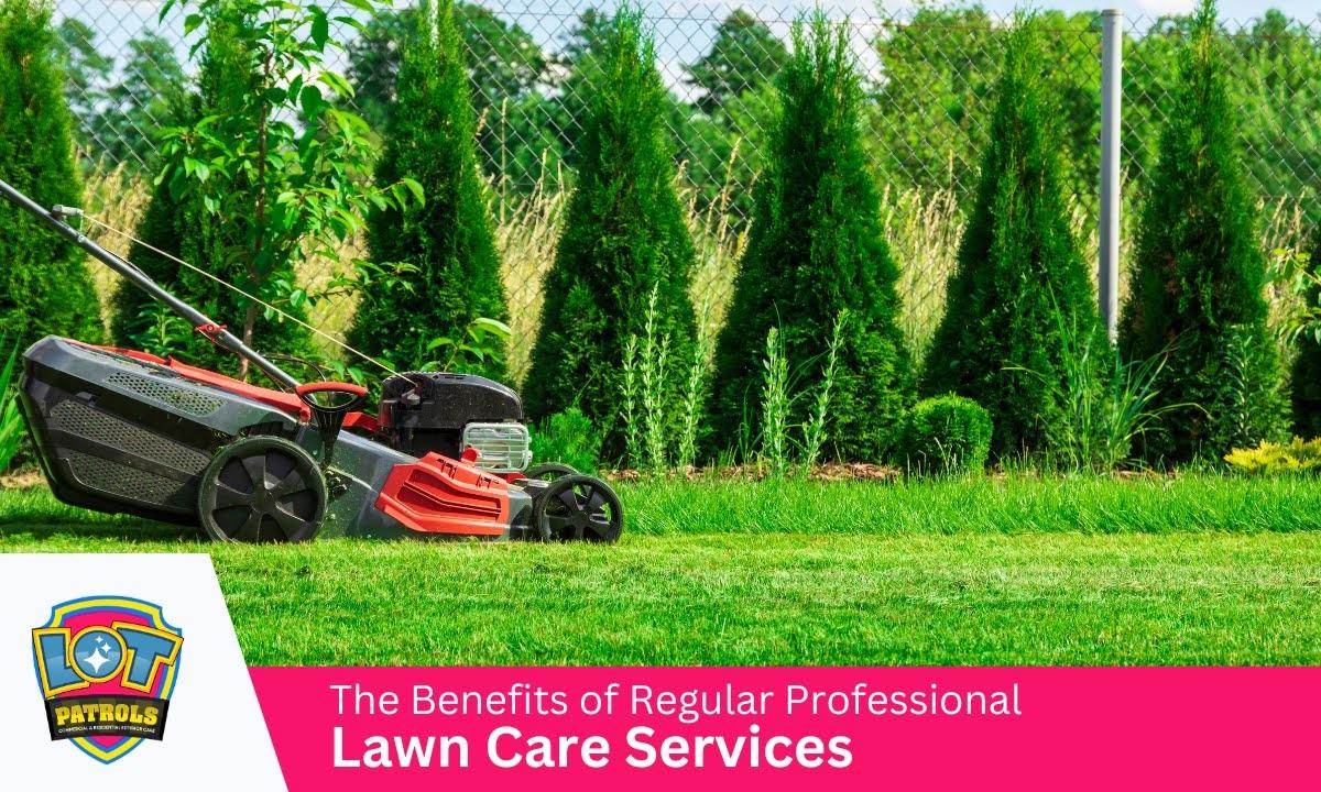 The Benefits of Regular Professional Lawn Care Services