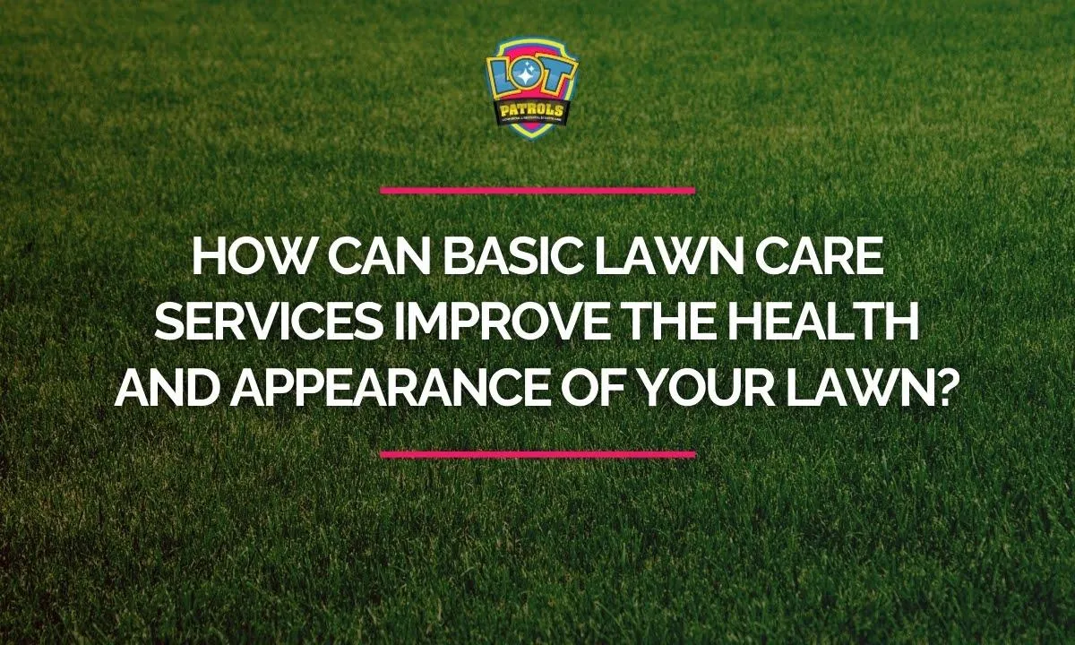 How Can Basic Lawn Care Services Improve the Health and Appearance of Your Lawn?