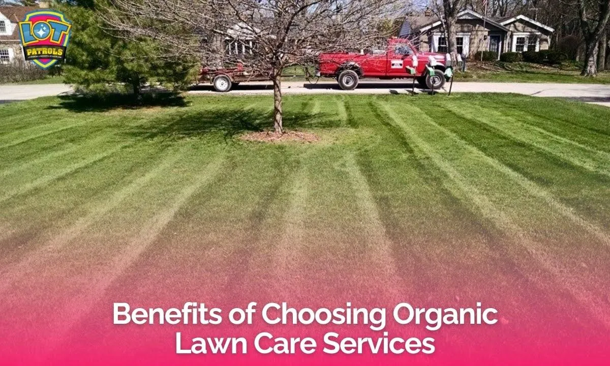 Why Choose Organic Lawn Care Services for a Healthier Lawn