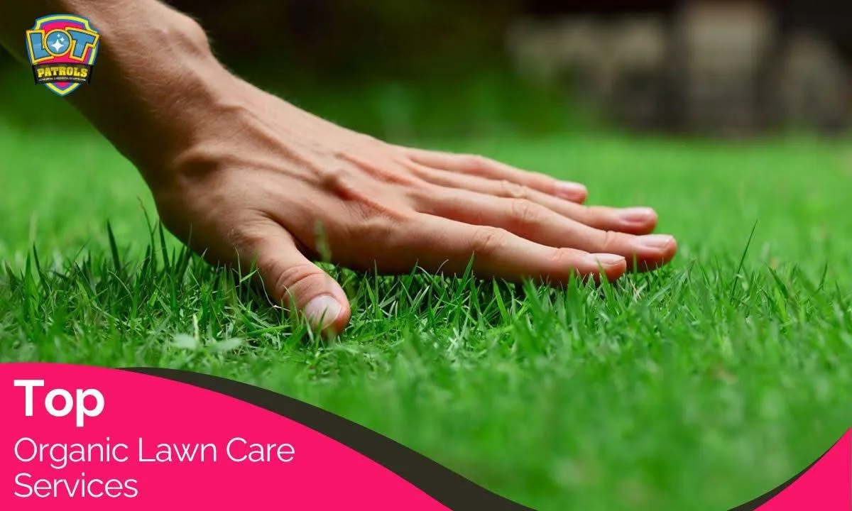 Best Organic Lawn Care Services - Non-Toxic Treatments