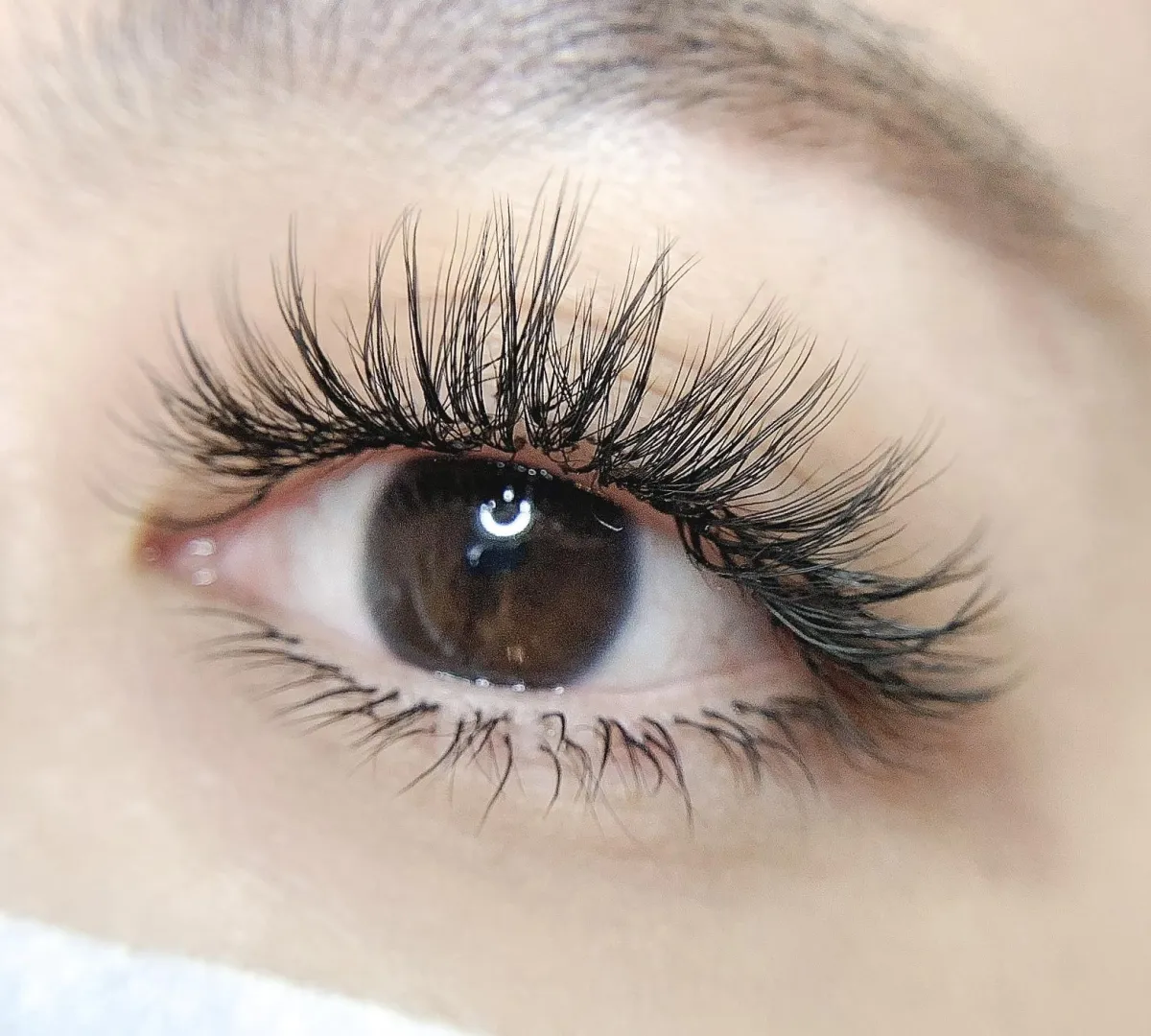 Lynn Beauty Eyelash