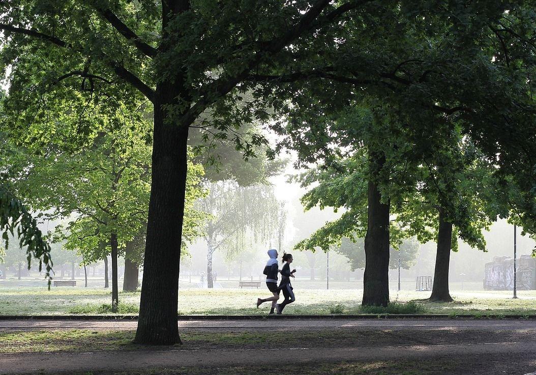Fitness and Lifespan