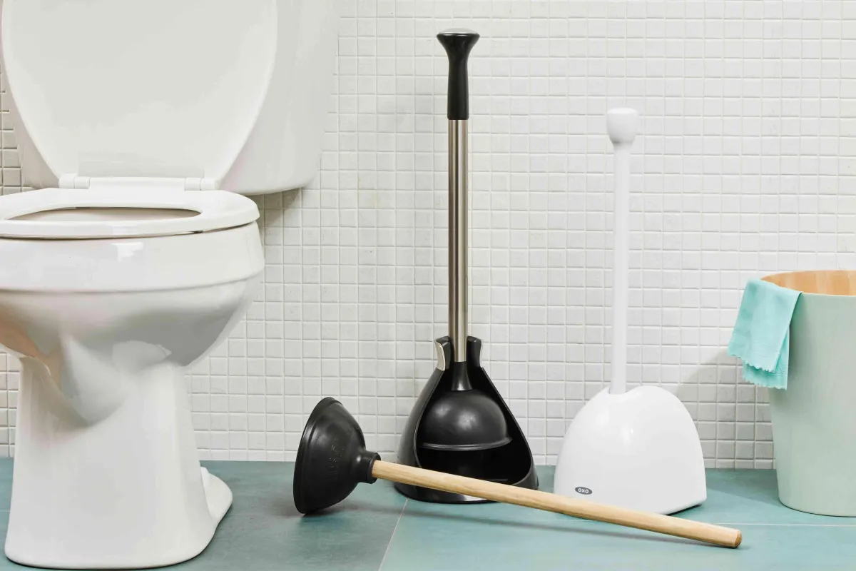 The best toilet plungers of 2025.