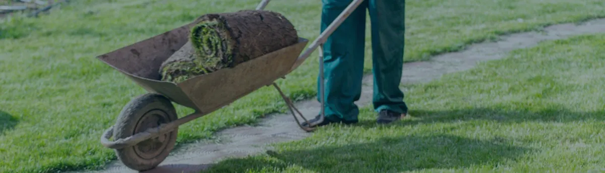 Landscaping That Redefines Outdoor Living