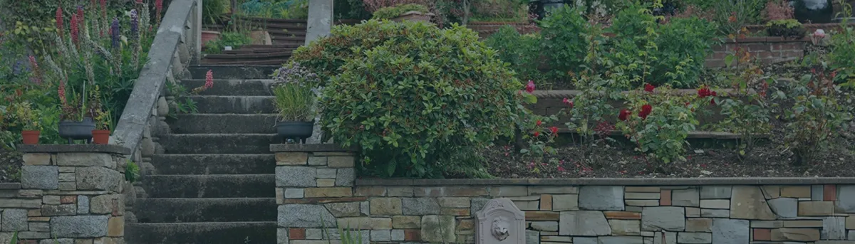 Hardscaping That Defines Structure and Style