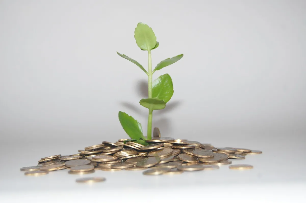Investments that matter