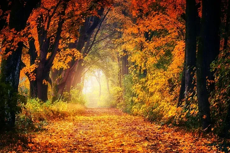 How to Battle the “Autumn Blues”