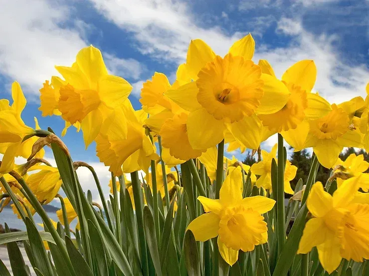 Did you miss our April 2021 Newsletter?