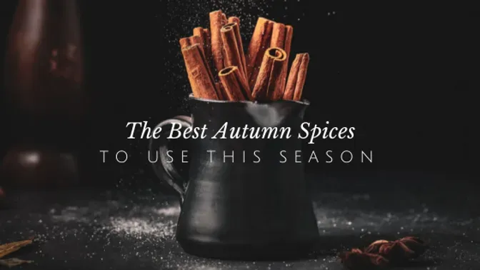 Spices That Will Add Vibrant Flavors & Health Benefits to All of Your Fall Favorite Dishes