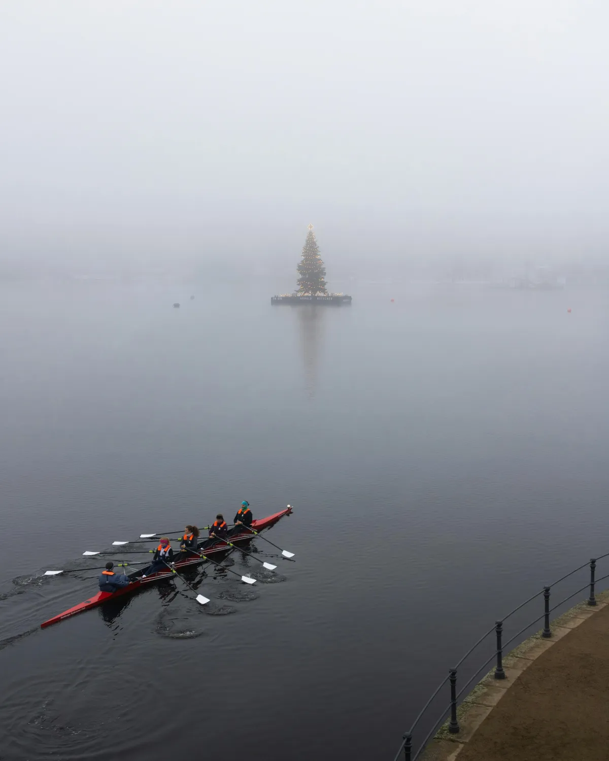The Health Benefits of Rowing:  A Full-Body Workout for Physical and Mental Wellness