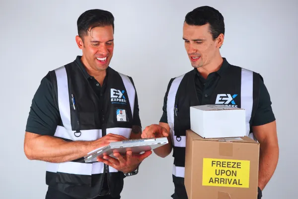 Express Courier Services: The Backbone of California’s Healthcare Delivery