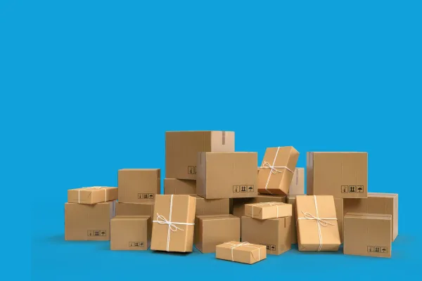 Emergency Courier Services: When Every Second Counts
