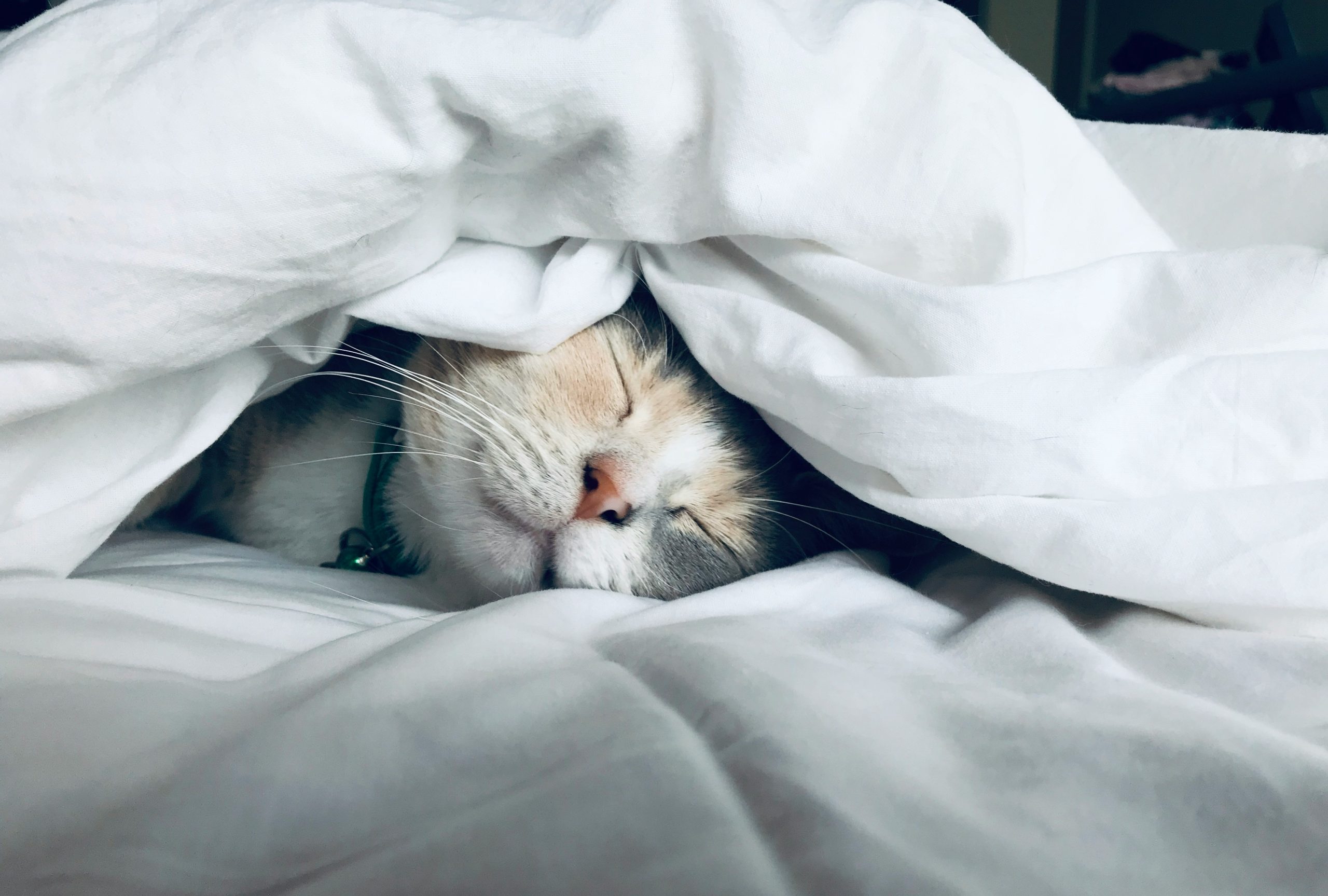 Blissful Sleep–Is it possible?