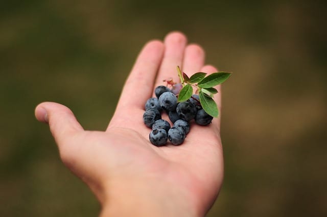 The Chore of Cooking–Whole Food Prep