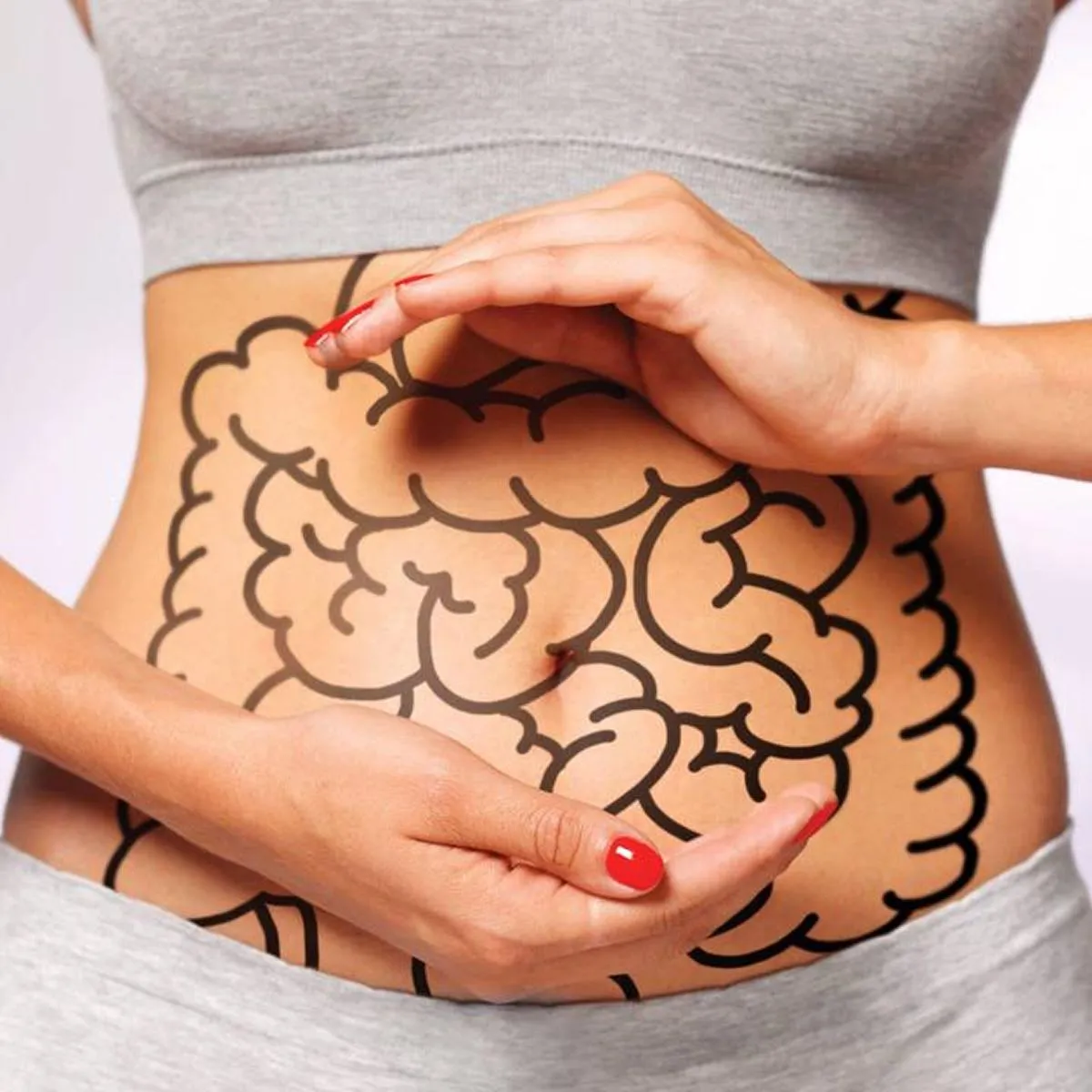 Gut Health Explained