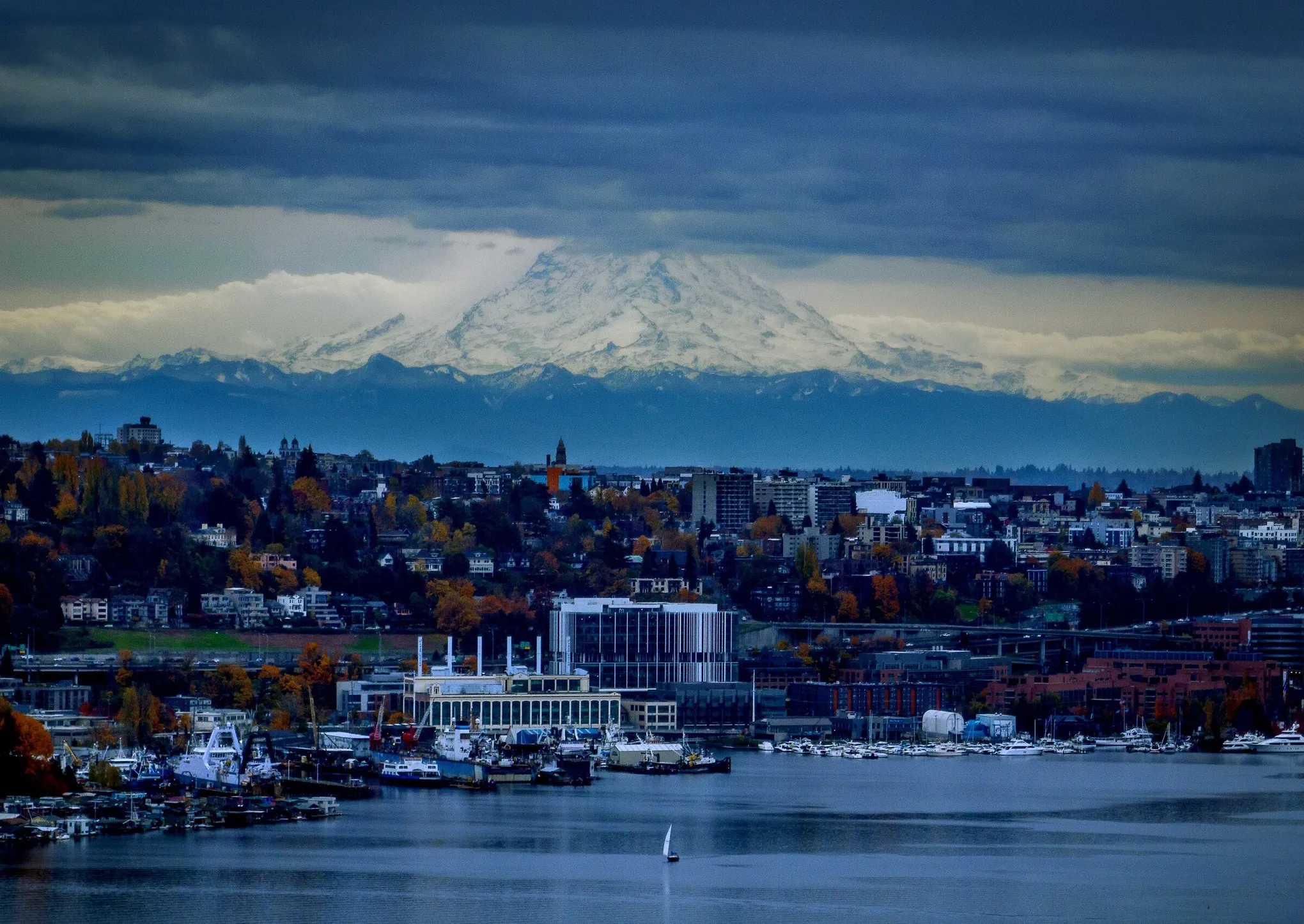 How to Save Money on Car Rentals in Kent, WA: Local Tips | Seatac Long Term Car Rental, Kent, WA