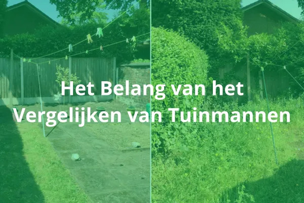 Vergelijk Tuinmannen: Kwaliteit en Prijzen in Balans