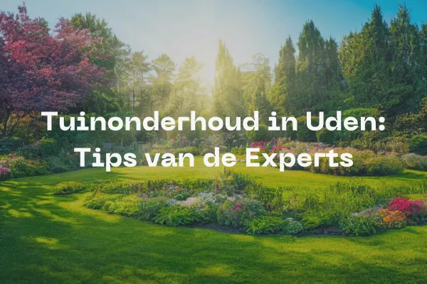 Tuinonderhoud in Uden: Tips van de Experts