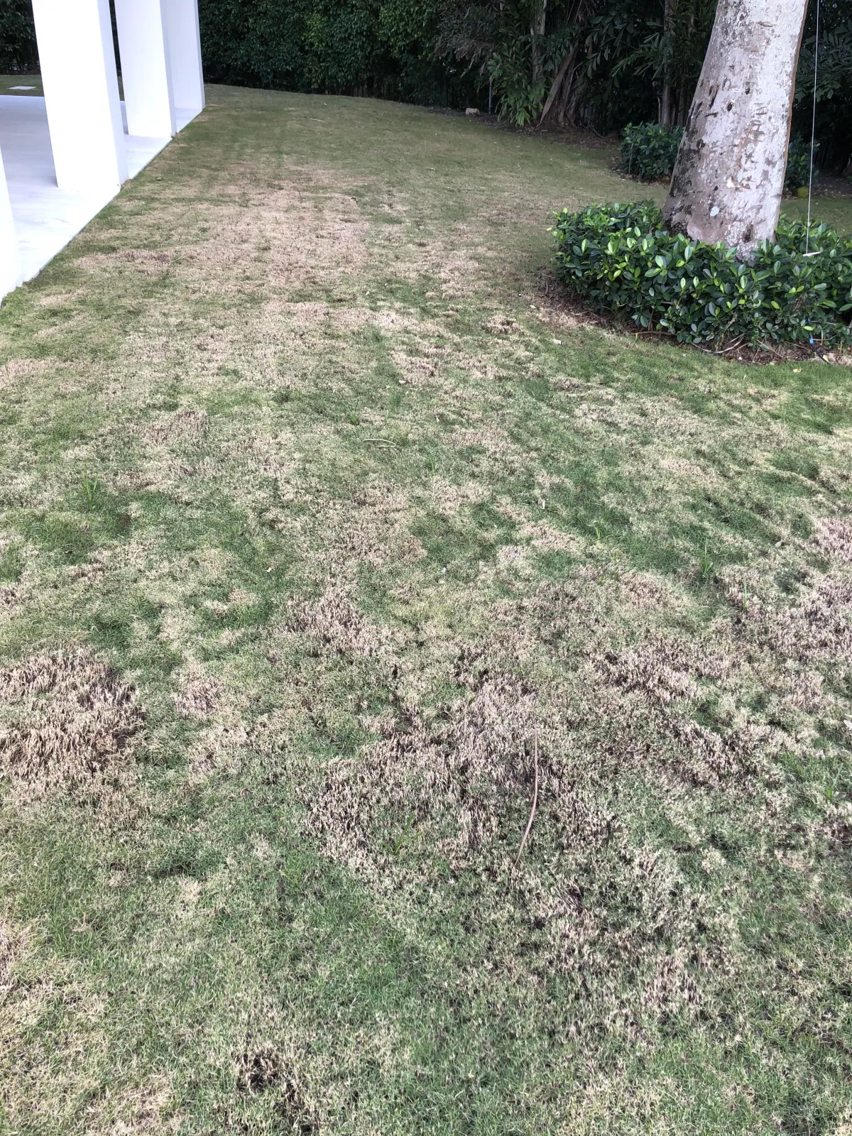 Before