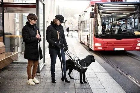 Traveling Together: Tips For Stress-Free Travel With A Service Animal