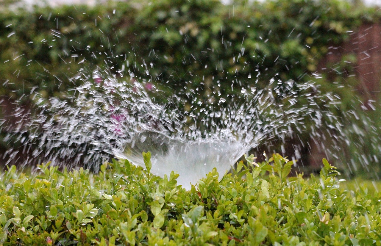 Irrigation