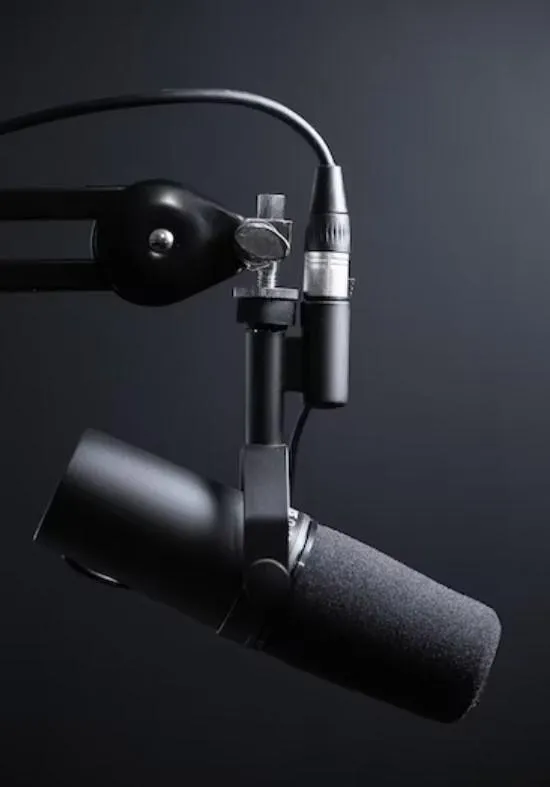 mic