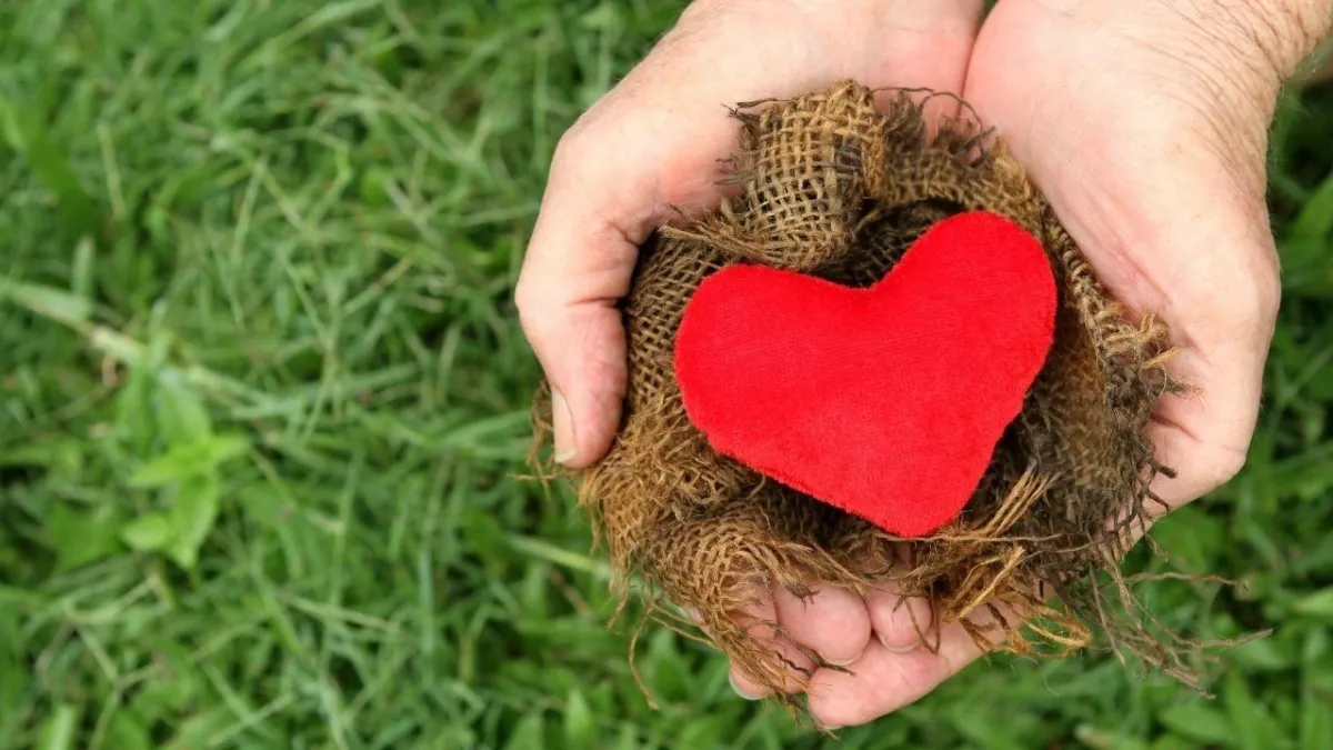 Five Ways To Build Your Character