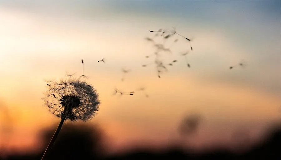 Comment profiter de la vie : 12 astuces simples