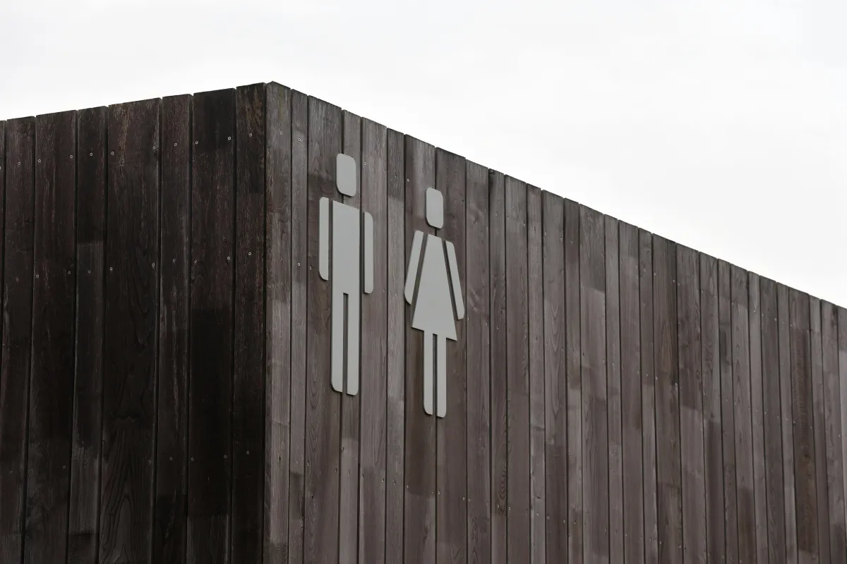 Understanding Your Unique Design: How Male and Female Brains Differ (And Why It Matters)
