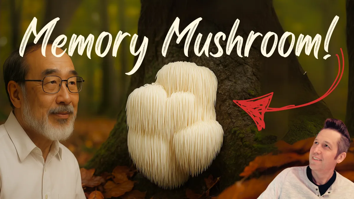 Memory Mushroom: How One Scientist Unlocked Lion's Mane Benefits