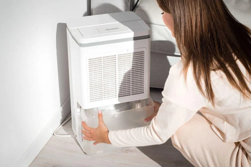 Are you frustrated by persistent odors? Here are five actionable tips for eliminating musty odors in your home and keeping your space fresh and inviting.