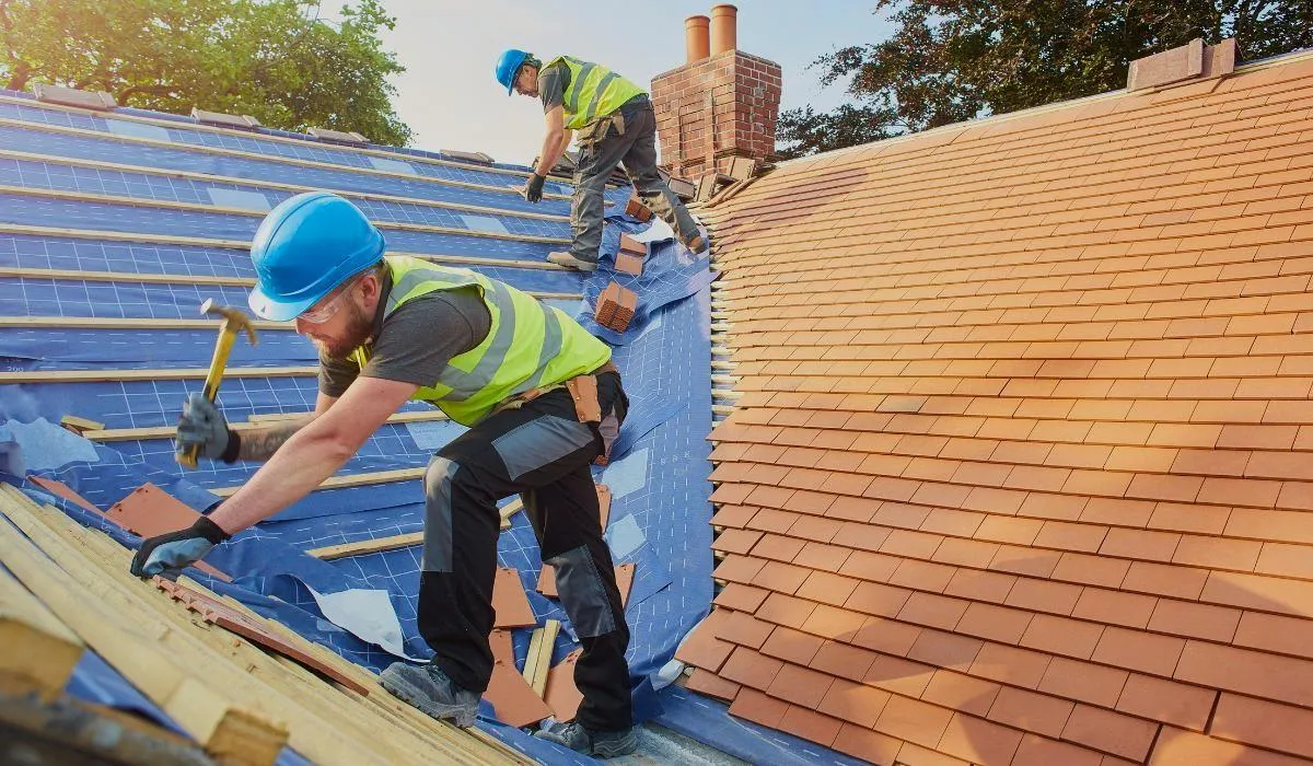 Roofing 101: Everything You Need to Know About Your Roof