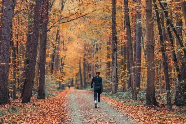 Why Fall is the Best Time to Jump-Start Weight Loss Goals