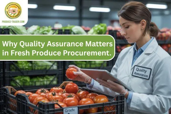 Why Quality Assurance Matters in Fresh Produce Procurement | Produce Traders