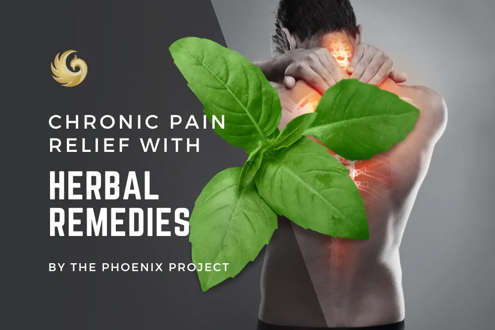 Chronic Pain Relief with Herbal Remedies