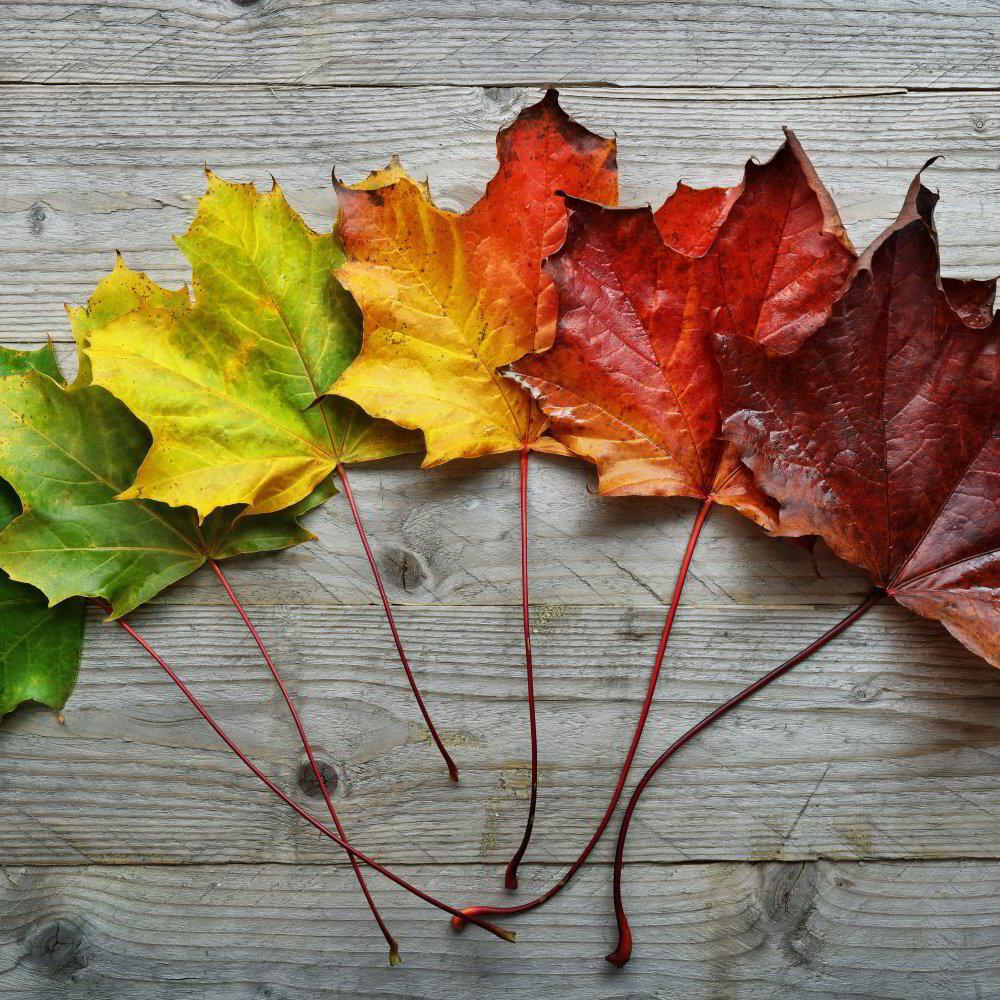 Myths About Change That Hold Us Back